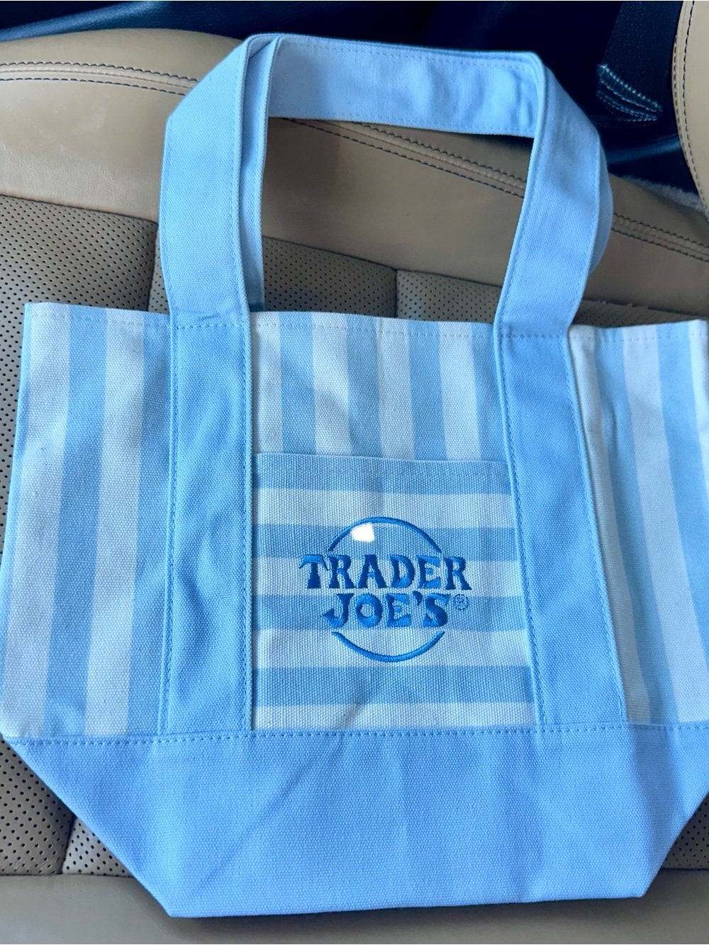 2026 NWT Trader Joe's Striped Canvas Mini Tote- BLUE